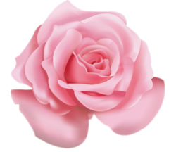 snapedit_1745813316148 1